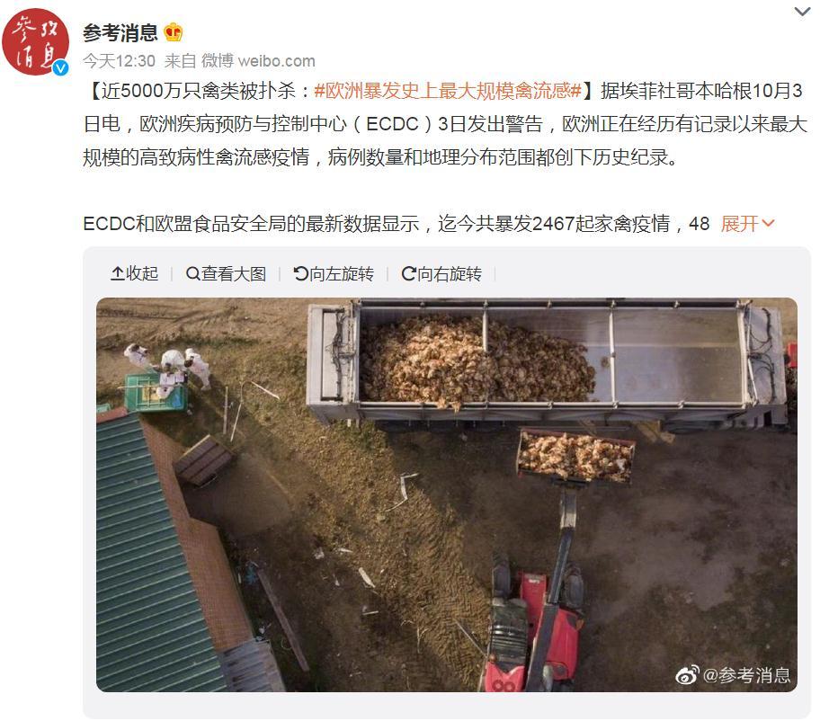 關(guān)注！歐洲暴發(fā)史上最大規(guī)模禽流感，波及37個國家！近5000萬只禽類被撲殺，蛋價會上漲么？