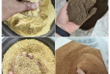 飼料原料驗(yàn)收的“望、聞、問(wèn)、切”